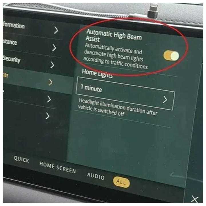 Auto High Beam Assist