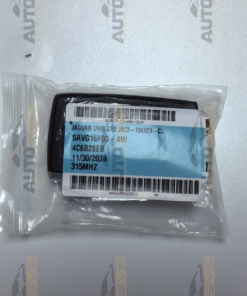 OEM 315MHz