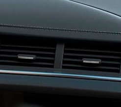 Cabin Air Ionisation