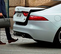 Powered gesture tailgate